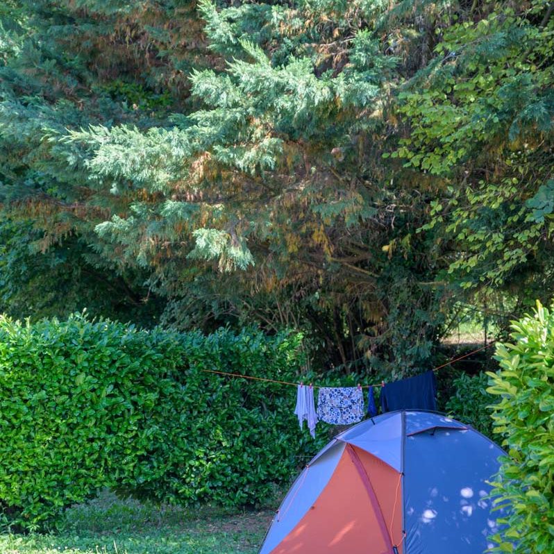 Emplacement de camping avec une tente et une haie comme séparation